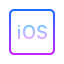 Apple Icon